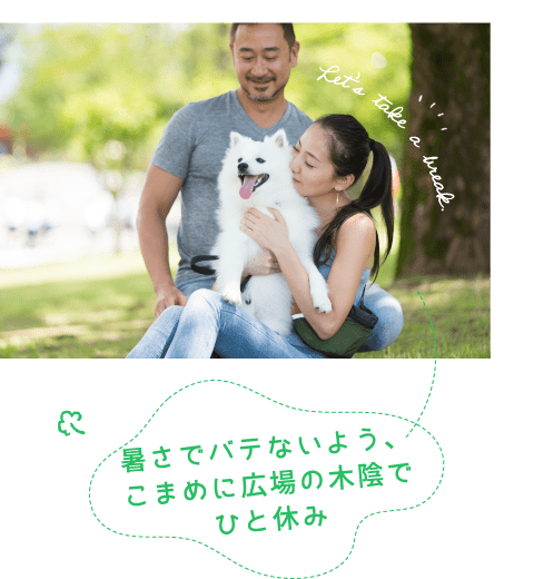 暑さでバテないよう、こまめに広場の木陰でひと休み