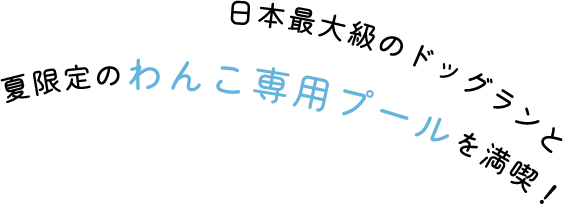 日本最大級のドッグランと夏限定のわんこ専用プールを満喫！