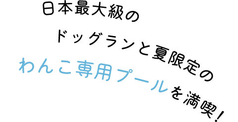 日本最大級のドッグランと夏限定のわんこ専用プールを満喫！