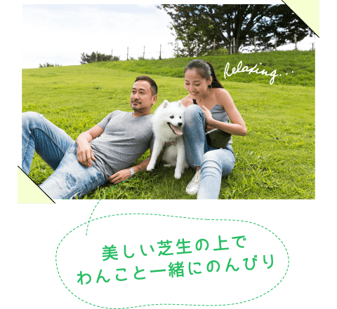美しい芝生の上でわんこと一緒にのんびり