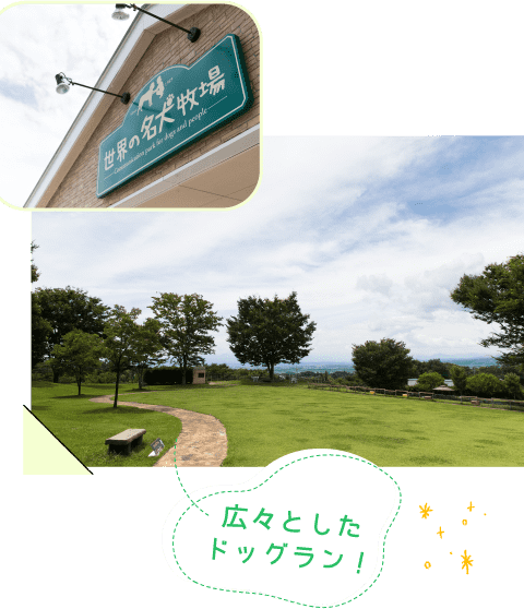 広々としたドッグラン！