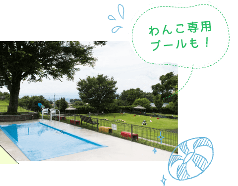 わんこ専用プールも！