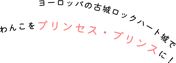 ヨーロッパの古城ロックハート城でわんこをプリンセス・プリンスに！