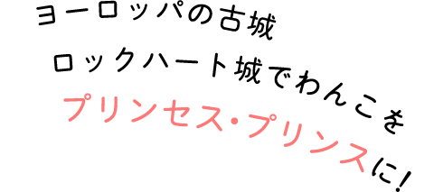 ヨーロッパの古城ロックハート城でわんこをプリンセス・プリンスに！