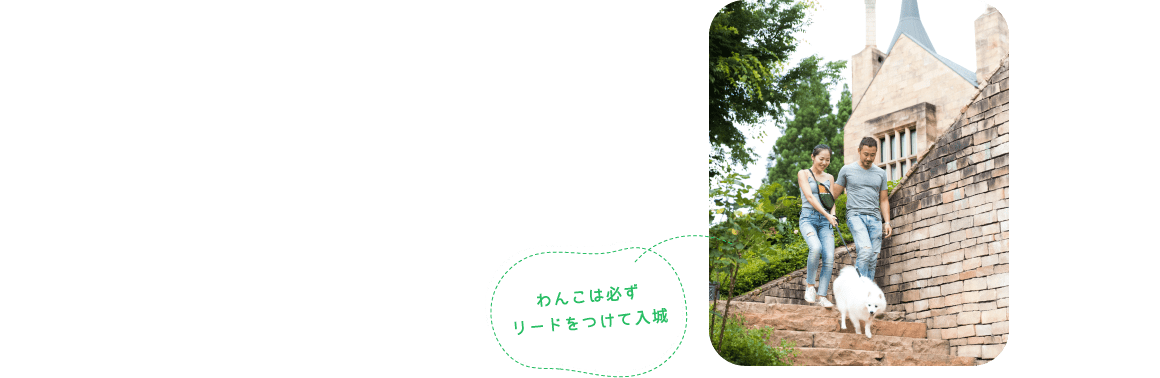 わんこは必ずリードをつけて入城
