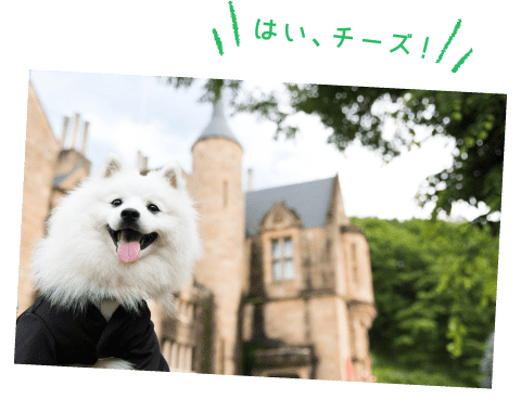 はい、チーズ！