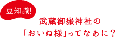 豆知識！武蔵御嶽神社の「おいぬ様」ってなあに？