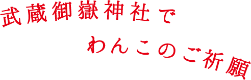 武蔵御嶽神社でわんこのご祈願