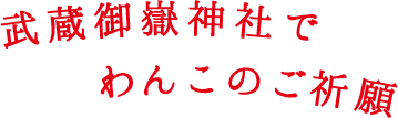 武蔵御嶽神社でわんこのご祈願