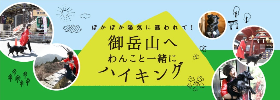 ぽかぽか陽気に誘われて！御岳山へわんこと一緒にハイキング