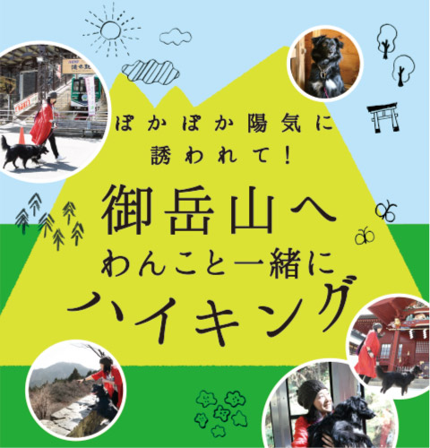 ぽかぽか陽気に誘われて！御岳山へわんこと一緒にハイキング