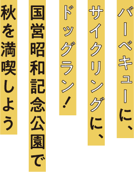 バーベキューに、サイクリングに、ドッグラン！国営昭和記念公園で秋を満喫しよう