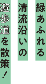 緑あふれる清流沿いの遊歩道を散策！