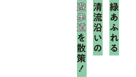 緑あふれる清流沿いの遊歩道を散策！