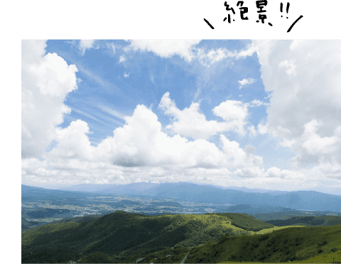 長野県のビーナスラインをドライブ 高原地帯の大自然に触れる 特集 おでかけ情報 Honda Dog Honda