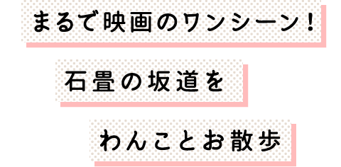 まるで映画のワンシーン！ 石畳の坂道をわんことお散歩