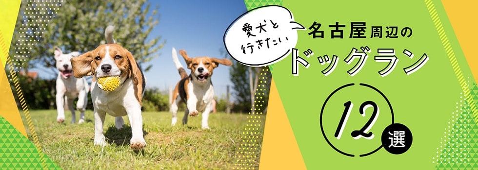 Honda Dog厳選！愛犬と行きたい、名古屋周辺のドッグラン12選