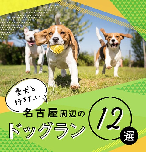 Honda Dog厳選！愛犬と行きたい、名古屋周辺のドッグラン12選