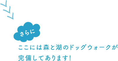 さらにここには森と湖のドッグウォークが完備してあります！