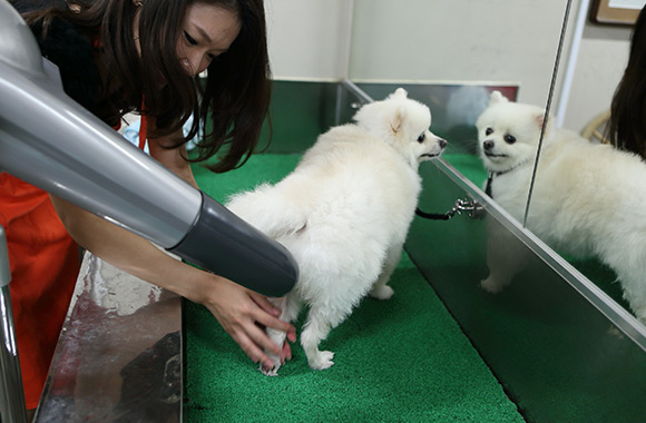 風の強さをわんこに合わせて調節できます