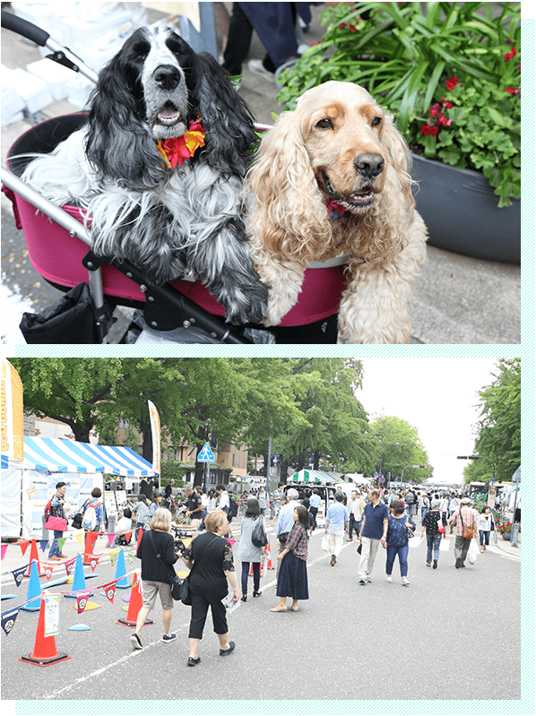 わんことハワイ気分を満喫できるコラボイベント 画像