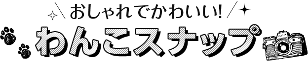 おしゃれでかわいい！わんこスナップ