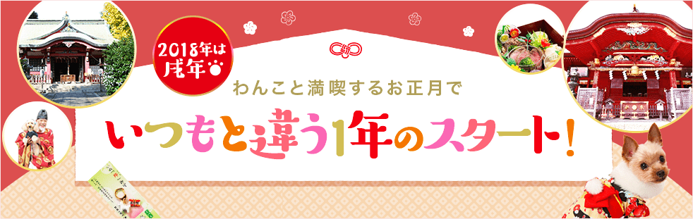 2018年は戌年！わんこと満喫するお正月で、いつもと違う1年のスタート！