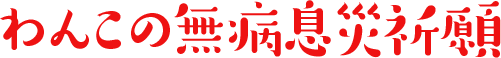 わんこの無病息災祈願