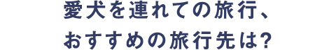 愛犬を連れての旅行、おすすめの旅行先は？