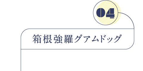 箱根強羅グアムドッグ