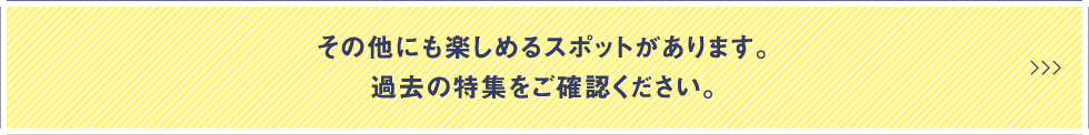 その他にも楽しめるスポットがあります。過去の特集をご確認ください。