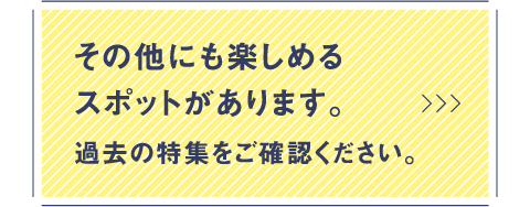 その他にも楽しめるスポットがあります。過去の特集をご確認ください。