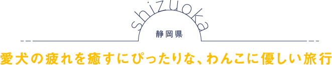 静岡県 愛犬の疲れを癒すにぴったりな、わんこに優しい旅行