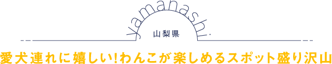 山梨県 愛犬連れに嬉しい！わんこが楽しめるスポット盛り沢山