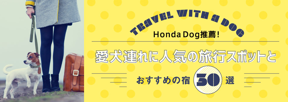 Honda Dog推薦！愛犬連れに人気の旅行スポットとおすすめの宿30選