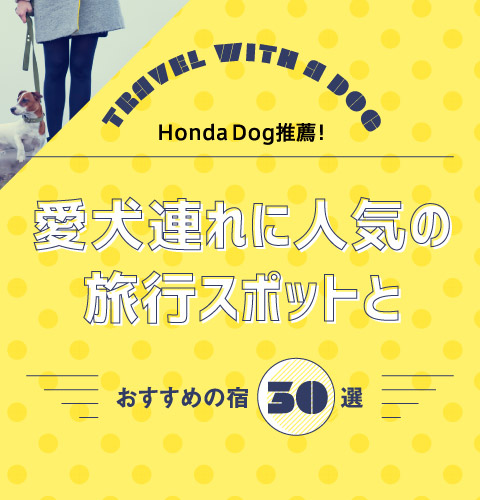 Honda Dog推薦！愛犬連れに人気の旅行スポットとおすすめの宿30選