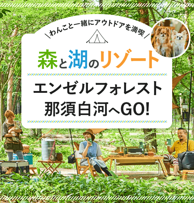 わんこと一緒にアウトドアを満喫 森と湖のリゾート エンゼルフォレスト那須白河へGO！