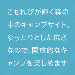 こもれびが輝く森の中のキャンプサイト。ゆったりとした広さなので、開放的なキャンプを楽しめます。