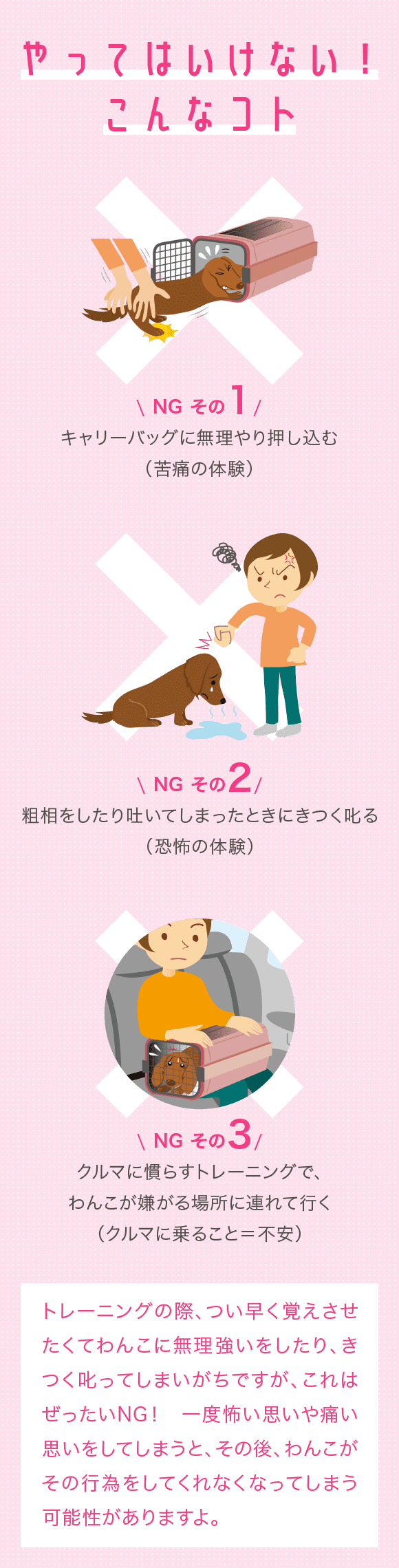 自分のクルマがなくても大丈夫 レンタカーだからこそ手軽に楽しめるわんことのドライブ 特集 おでかけ情報 Honda Dog 自分のクルマがなくても大丈夫 レンタカーだからこそ手軽に楽しめるわんことのドライブ 特集 おでかけ情報 Honda Dog