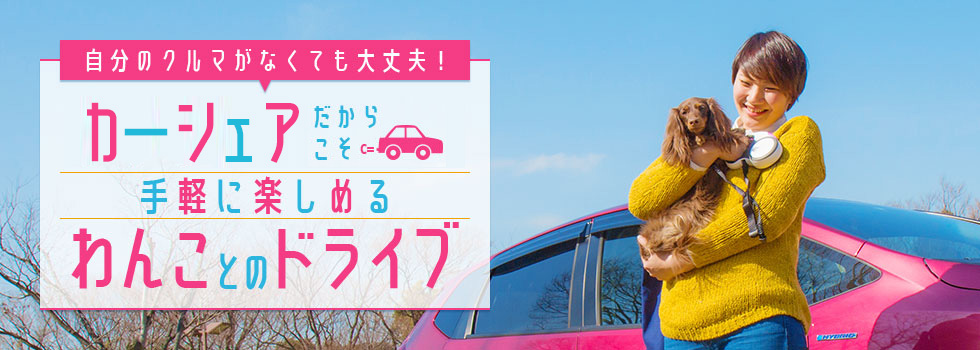 自分のクルマがなくても大丈夫！カーシェアだからこそ手軽に楽しめるわんことのドライブ