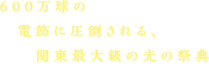 600万球の電飾に圧倒される、関東最大級の光の祭典