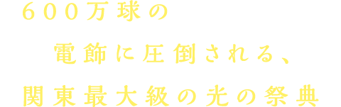 600万球の電飾に圧倒される、関東最大級の光の祭典