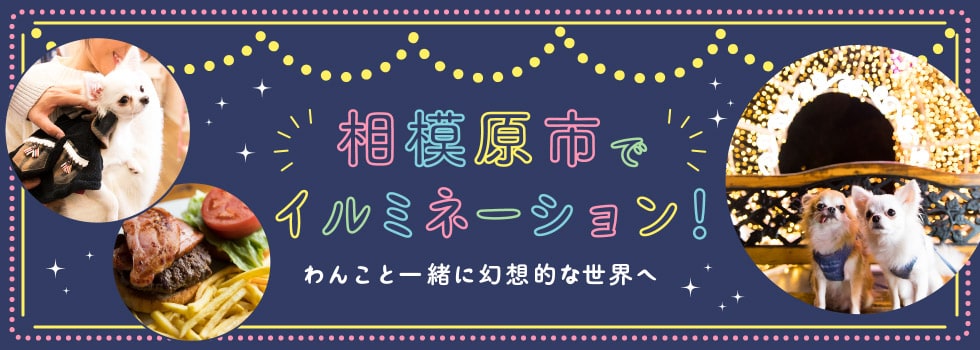 相模原市でイルミネーション！わんこと一緒に幻想的な世界へ