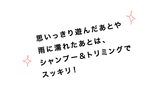 思いっきり遊んだあとや雨に濡れたあとは、シャンプー＆トリミングでスッキリ！