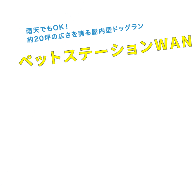 雨天でもOK！約20坪の広さを誇る屋内型ドッグラン ペットステーションWAN