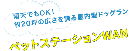 雨天でもOK！約20坪の広さを誇る屋内型ドッグラン ペットステーションWAN