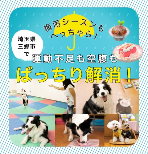 梅雨シーズンもへっちゃら！埼玉県三郷市で、運動不足も空腹もばっちり解消！