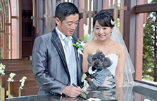 Dog Lovers Wedding