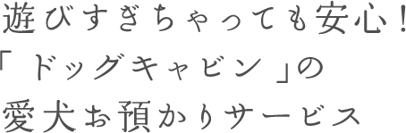 遊びすぎちゃっても安心！「ドッグキャビン」の愛犬お預かりサービス