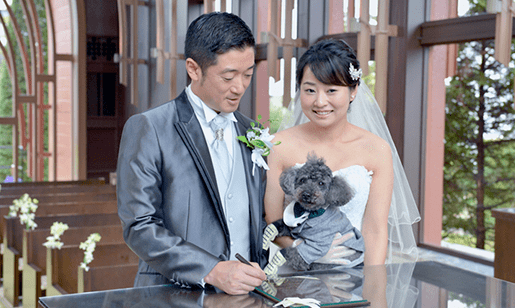Dog Lovers Wedding